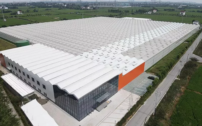 ข้อดีของเรือนกระจก Multispan Glass