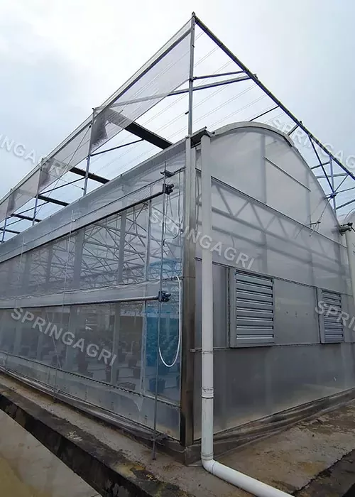 โรงเรือนในประเทศสเปน